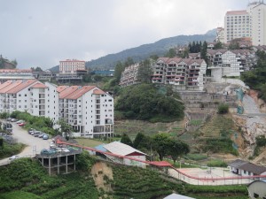 Cameron Highlands-089